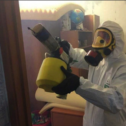 Уничтожение клопов в квартире. Площадь Мужества